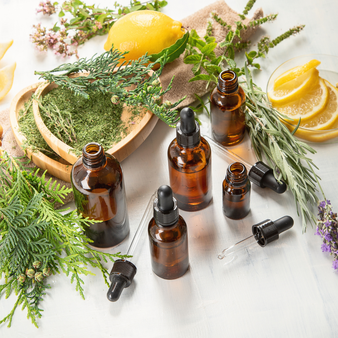 WORKSHOPS – Nova Ray Botanicals