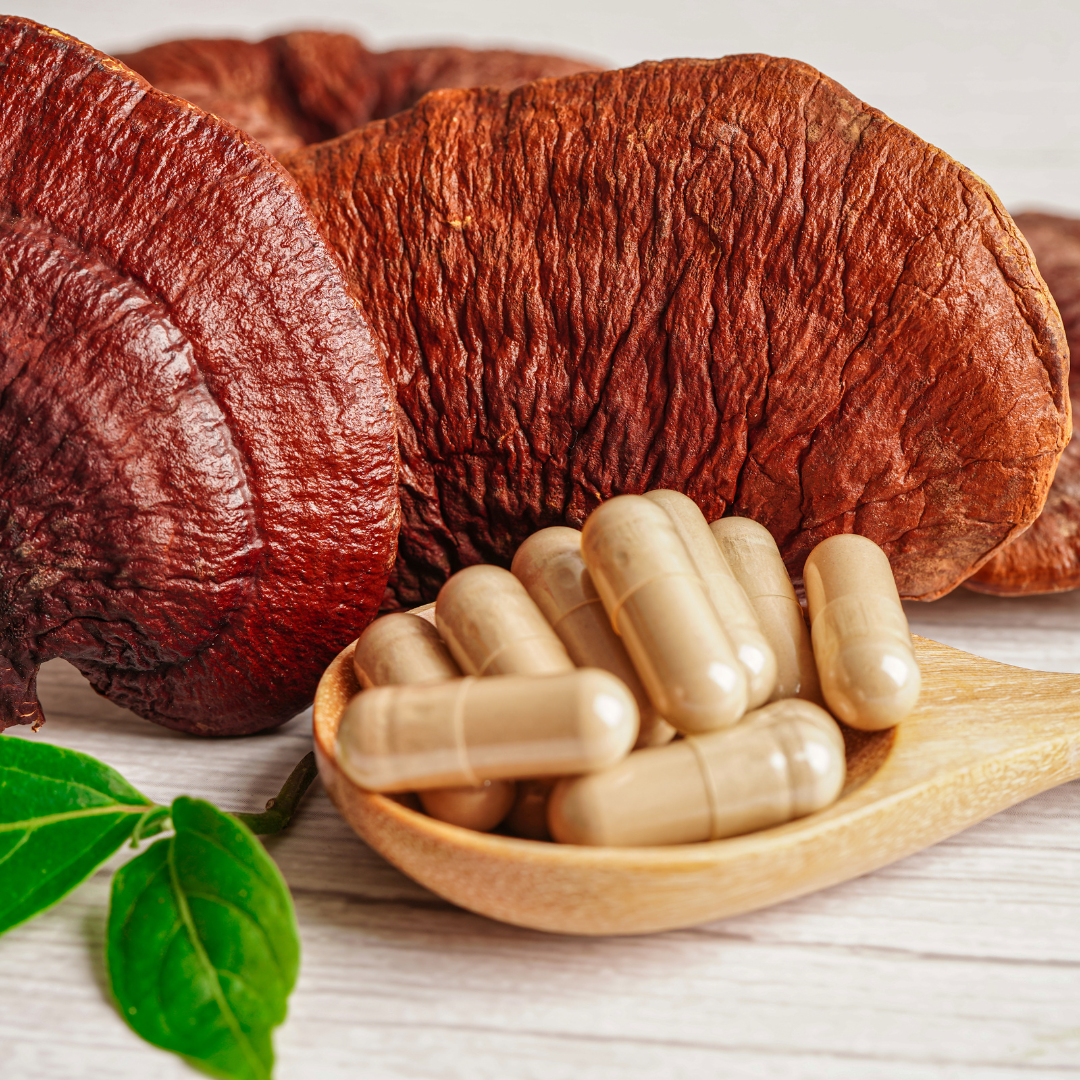 Super Mushroom Complex Supplements