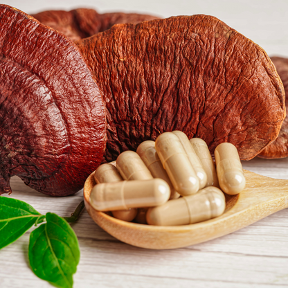 Super Mushroom Complex Supplements